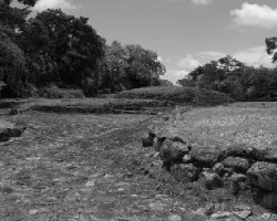 Guayabo un Camino al Pasado
