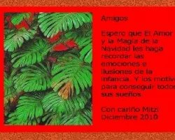 Feliz Navidad y Año Nuevo