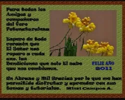 Feliz Año 2011