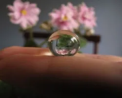 Belleza encerrada