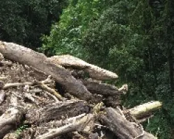 Naturaleza en contraste