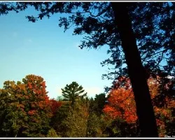 Colores de Otoño