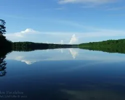 Mundos paralelos