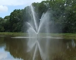 Lazos de agua