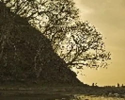 CAZADOR Y PESCADORES