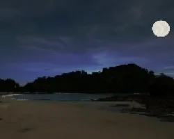 Sueno con luna en Manuel Antonio