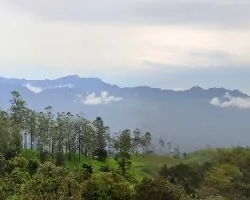 San Carlos paraíso del verde y la luz II.BR