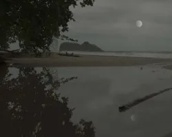 Noche a la orilla del mar