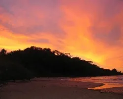 Arde la playa