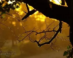 Atardecer enero 01