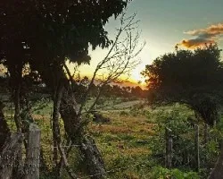 Atardecer enero 02