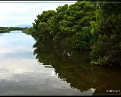 Parque natural  de s'Albufera, Mallorca.