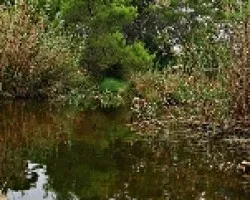 Parque natural  de s'Albufera, Mallorca.