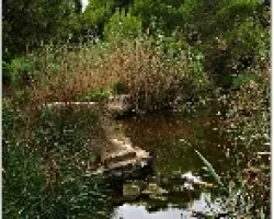 Parque natural  de s'Albufera, Mallorca.