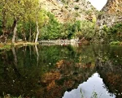 Reflejos