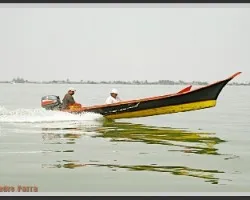 Destellos de mi lago