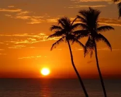 Un poco de anaranjado