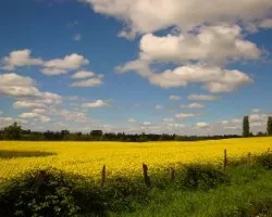 HERMOSO PAISAJE