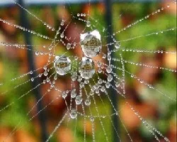 REFLEJOS