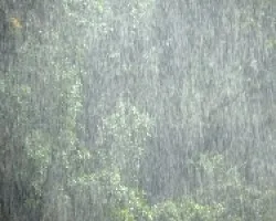 LLUVIA EN EL PARQUE