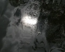 reflejo en estanque