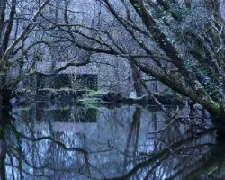 Rincones magicos_2