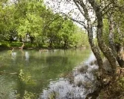 rio bullaque