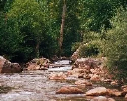 ruta del care