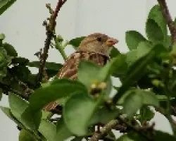 Prueba 2