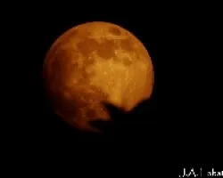 la luna