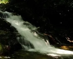 Cascada