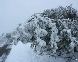 Nieve con cadenas