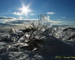 Viento helado