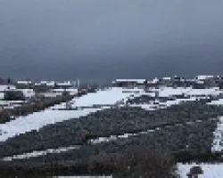 Camuflaje