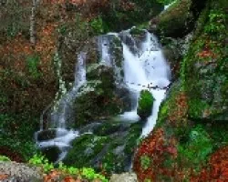 Panoramica de otono e invierno
