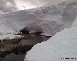 Los Nevros