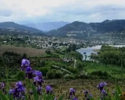 Vistas