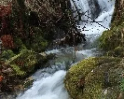 Arroyos