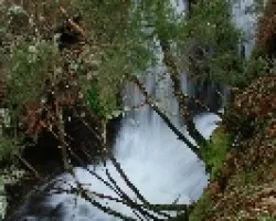 Arroyos