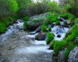 Agua fresca de montana