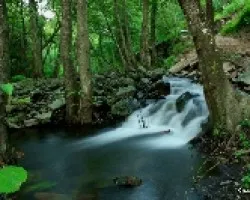 Un lugar para pasear