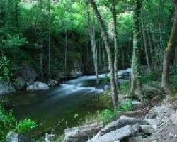 Un lugar para pasear