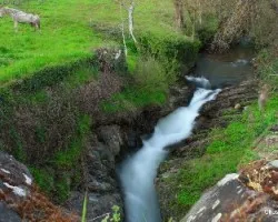 El río de Entoma