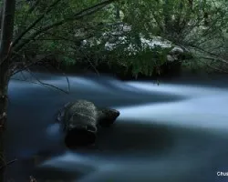 Agua