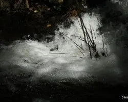 Agua