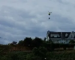 Desde mi ventana los vi pasar
