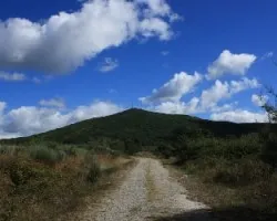 Cuando las nubes casi tocan la tierra