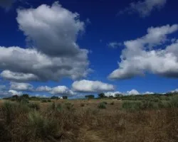 Cuando las nubes casi tocan la tierra