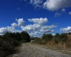 Cuando las nubes casi tocan la tierra
