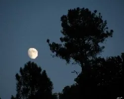 luna